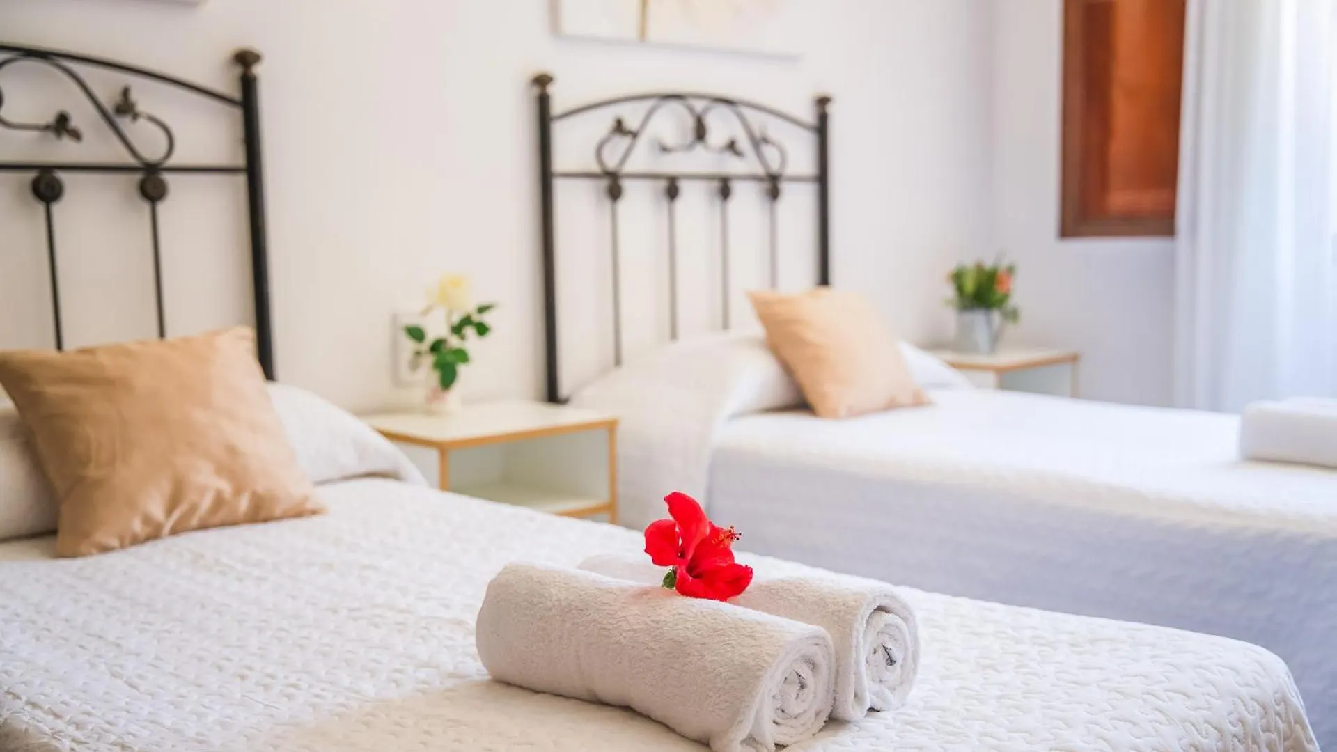 Semesterbostad Ideal Property Mallorca - Tacaritx Alcudia  Spanien